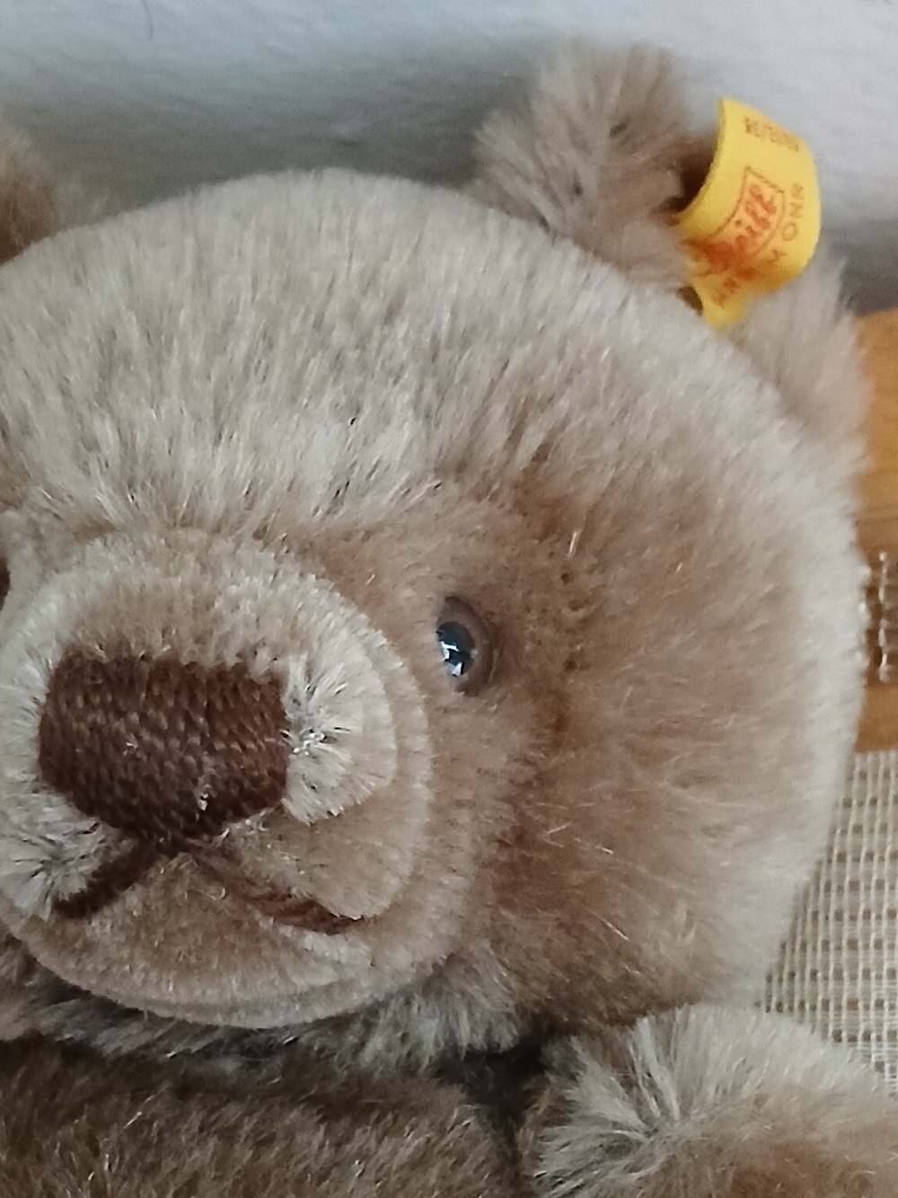 Steiff Growling Teddy Bear  Vintage Plush Stuffed Bear - Picture 3 of 11